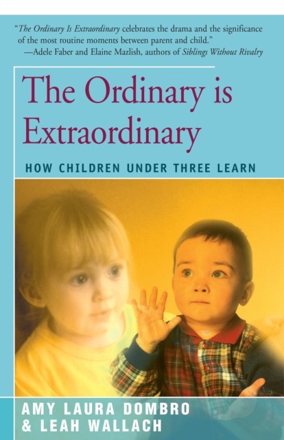 The Ordinary is Extraordinary, Amy Laura Dombro, Leah Wallach
