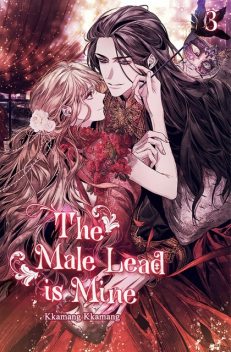 The Male Lead Is Mine Vol. 3, Kkamang Kkamang