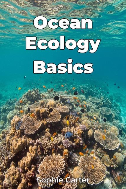 Ocean Ecology Basics, Sophie Carter