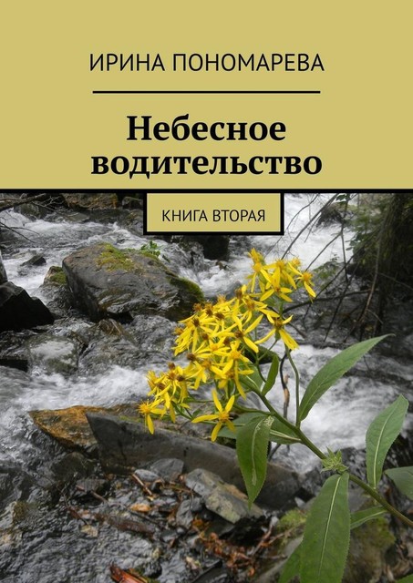 Небесное водительство. Книга вторая, Ирина Пономарева