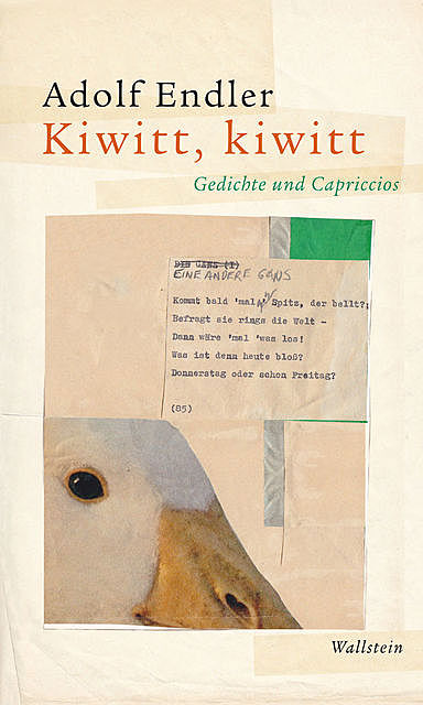 Kiwitt, kiwitt, Adolf Endler