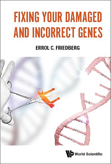 Fixing Your Damaged and Incorrect Genes, Errol C Friedberg