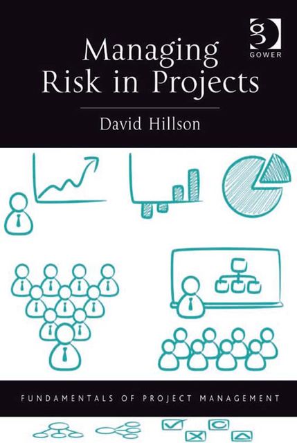 Managing Risk in Projects, David Hillson
