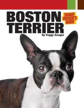 Boston Terrier, Peggy Swager