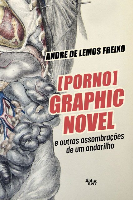 [Porno] Graphic Novel e outras assombrações de um andarilho, Andre de Lemos Freixo