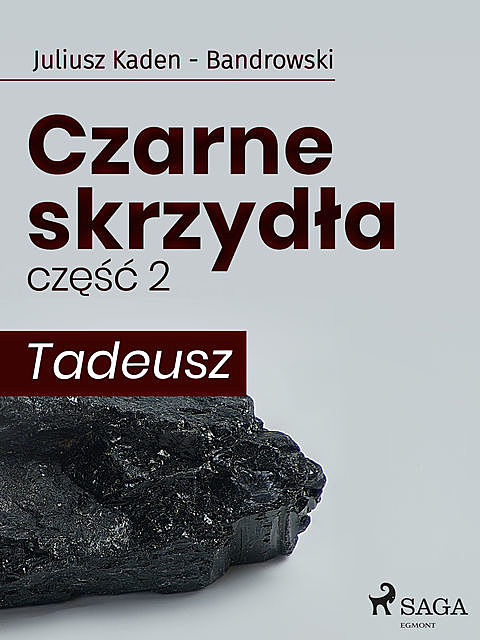 Czarne skrzydła 2 – Tadeusz, Juliusz Kaden Bandrowski