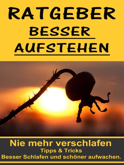 Ratgeber besser aufstehen – Besser Schlafen und schöner aufwachen, Nathan-Simon Freisingshof