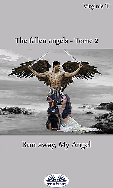 Run Away, My Angel, Virginie T.