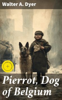 Pierrot, Dog of Belgium, Walter A. Dyer