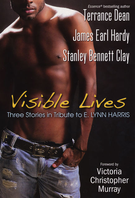 Visible Lives, James Earl Hardy, Terrance Dean, Stanley Bennett Clay