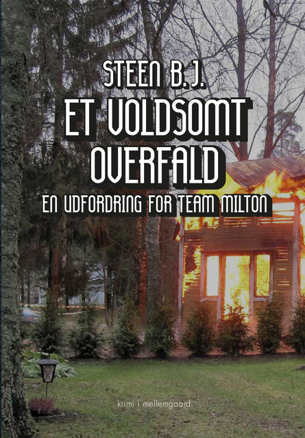 ET VOLDSOMT OVERFALD, Steen B.J.
