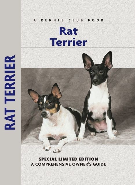 Rat Terrier, Alice J. Kane
