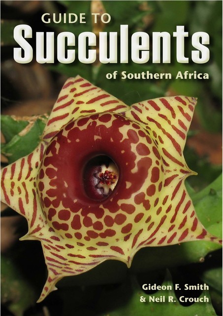 Guide to Succulents of Southern Africa, Gideon Smith