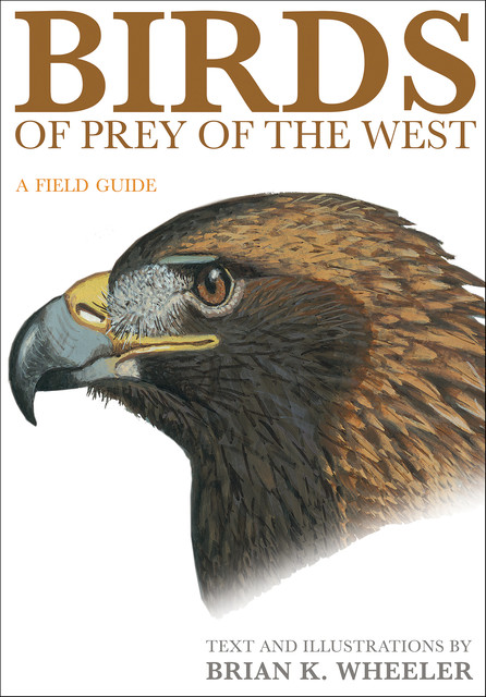 Birds of Prey of the West, Brian K. Wheeler