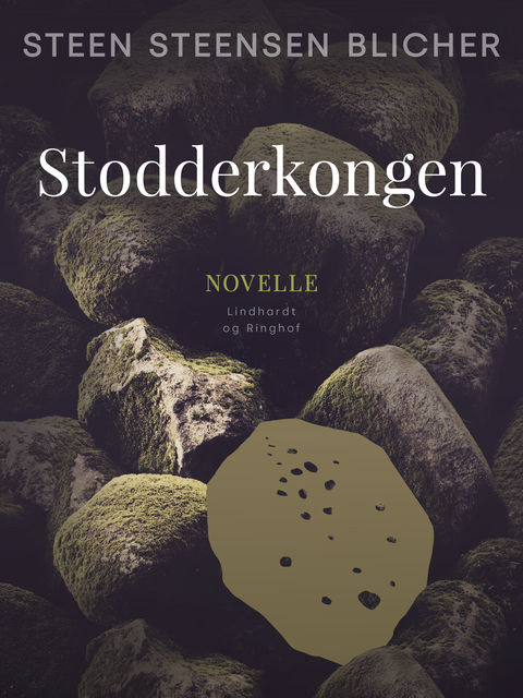 Stodderkongen, Steen Steensen Blicher