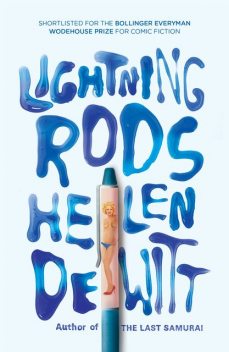 Lightning Rods, Helen Dewitt