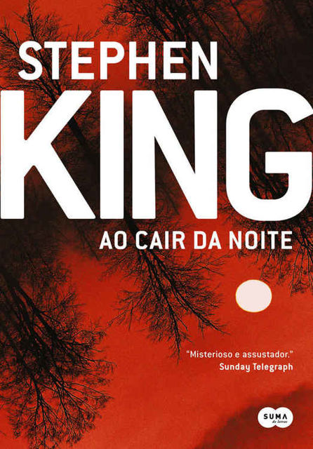Ao cair da noite, Stephen King