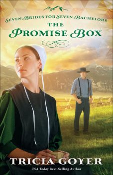 The Promise Box, Tricia Goyer