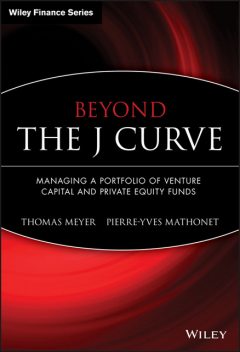 Beyond the J Curve, Pierre-Yves Mathonet, Thomas Meyer