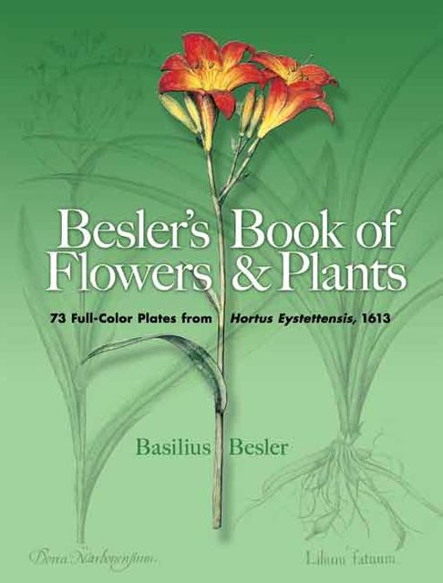 Besler's Book of Flowers and Plants, Basilius Besler