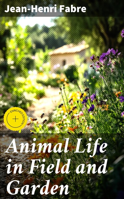 Animal Life in Field and Garden, Jean-Henri Fabre