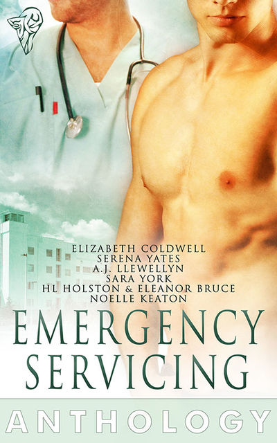 Emergency Servicing, Serena Yates, Elizabeth Coldwell, AJ Llewellyn