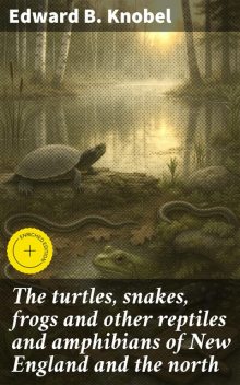 The turtles, snakes, frogs and other reptiles and amphibians of New England and the north, Edward Knobel