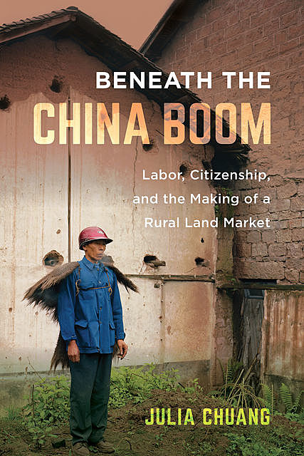 Beneath the China Boom, Julia Chuang