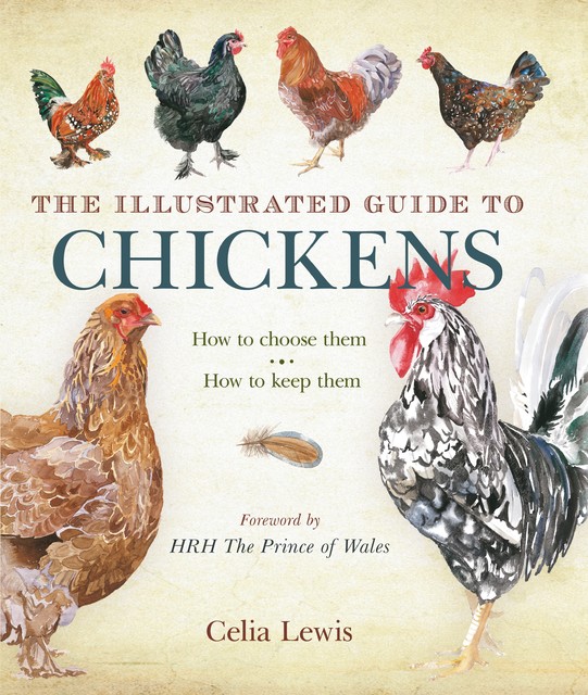 The Illustrated Guide to Chickens, Celia Lewis