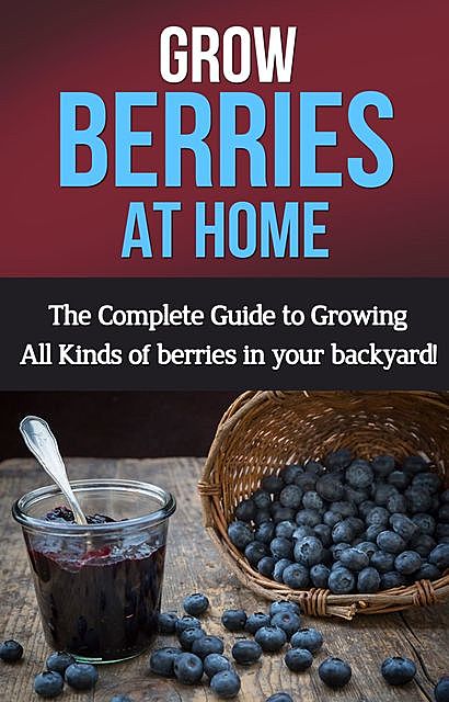 Grow Berries At Home, Steve Ryan