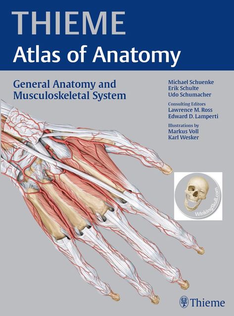 General Anatomy and Musculoskeletal System (THIEME Atlas of Anatomy), Michael Schuenke, Erik Schulte, Udo Schumacher