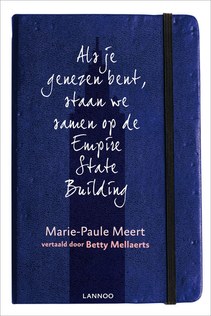 Als je genezen bent (E-boek), Marie-Paule Meert