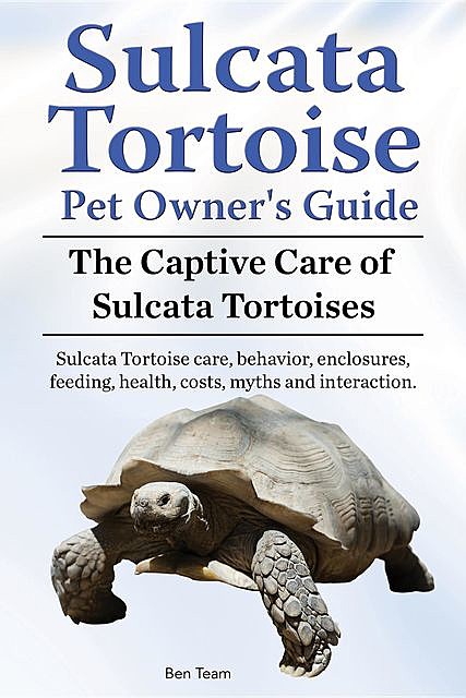 Sulcata Tortoise Pet Owners Guide. The Captive Care of Sulcata Tortoises. Sulcata Tortoise care, behavior, enclosures, feeding, health, costs, myths and interaction, Ben Team