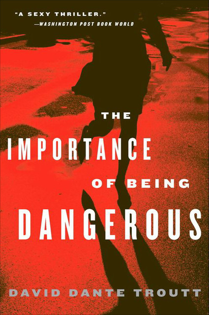 The Importance of Being Dangerous, David Dante Troutt