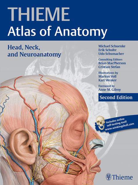 Head, Neck, and Neuroanatomy (THIEME Atlas of Anatomy), Michael Schuenke, Erik Schulte, Udo Schumacher