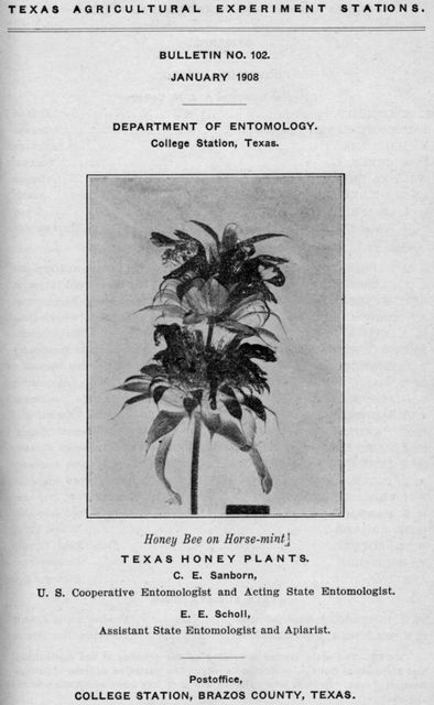 Texas Honey Plants, Charles Emerson Sanborn