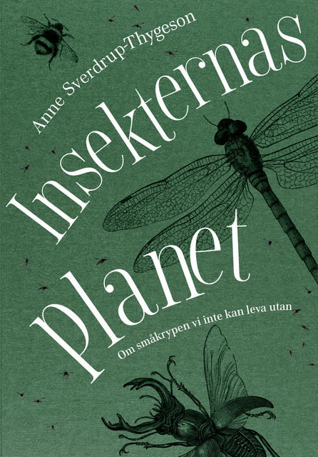 Insekternas planet, Anne Sverdrup-Thygeson