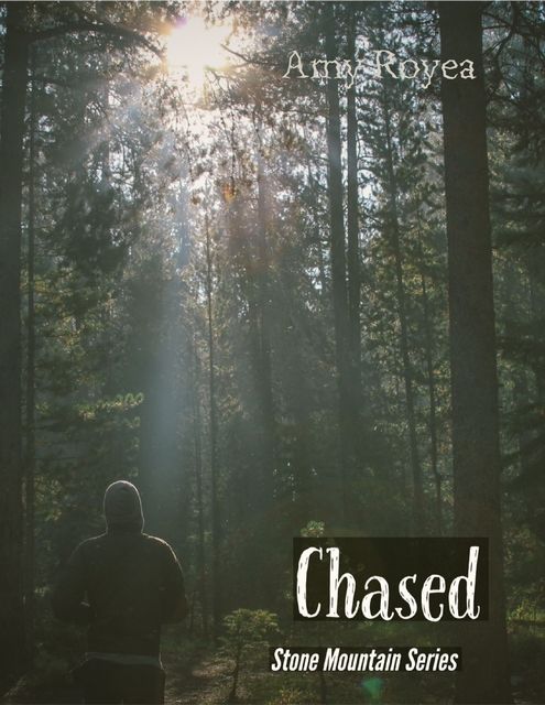 Chased Stone Mountain Series, Amy Royea