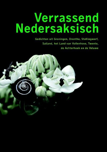 Verrassend Nedersaksisch, Eldert Ameling
