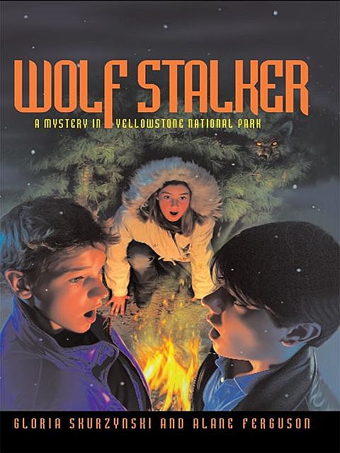 Mysteries in Our National Parks: Wolf Stalker, Alane Ferguson, National Geographic Kids, Gloria Skurzynski