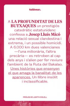 La profunditat de les butxaques, Josep Lluís Micó