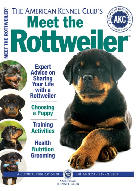 Meet the Rottweiler, American Kennel Club