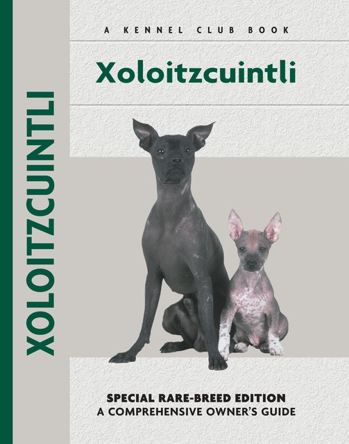 Xoloitzcuintli, Amy Fernandez