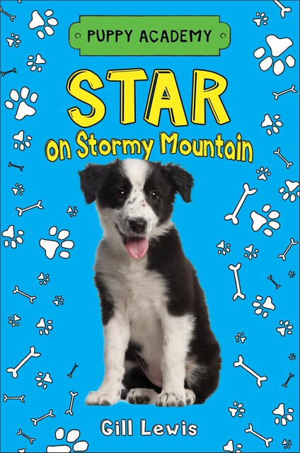 Star on Stormy Mountain, Gill Lewis