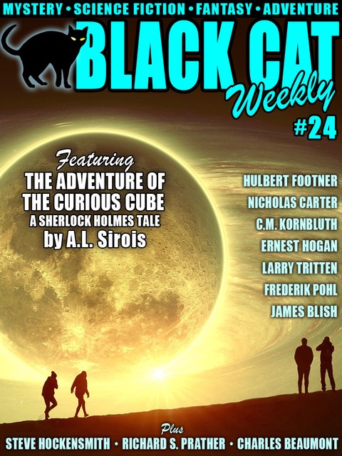 Black Cat Weekly #24, Wildside Press
