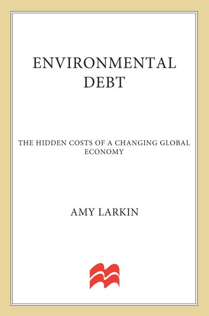 Environmental Debt, Amy Larkin