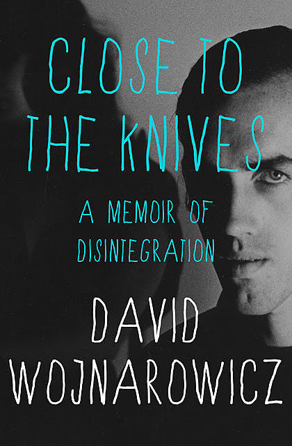 Close to the Knives, David Wojnarowicz