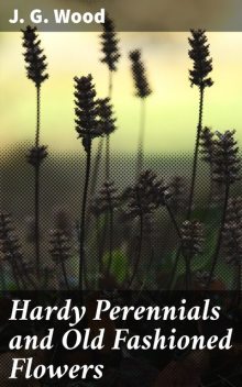 Hardy Perennials and Old Fashioned Flowers, J.G. Wood