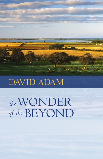 Wonder of the Beyond, The, David Adam
