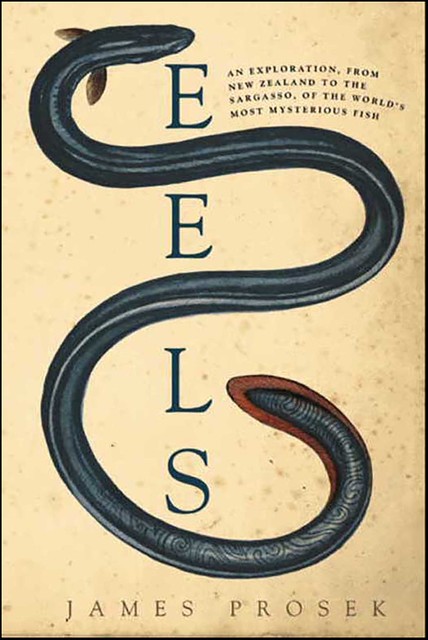 Eels, James Prosek